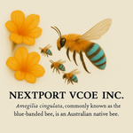 nextport.org